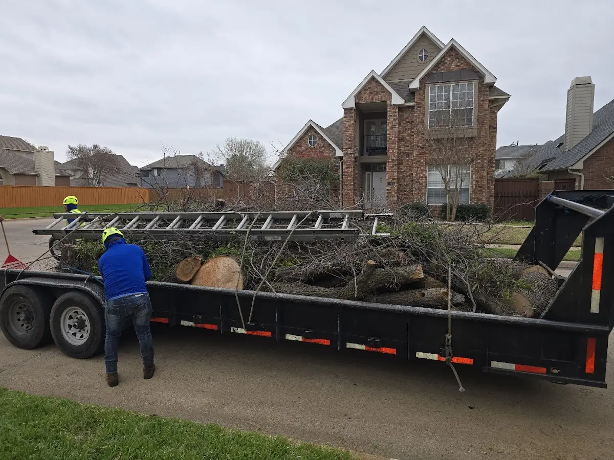 Expert Tree Fertilization with proper safety equipment in Deming